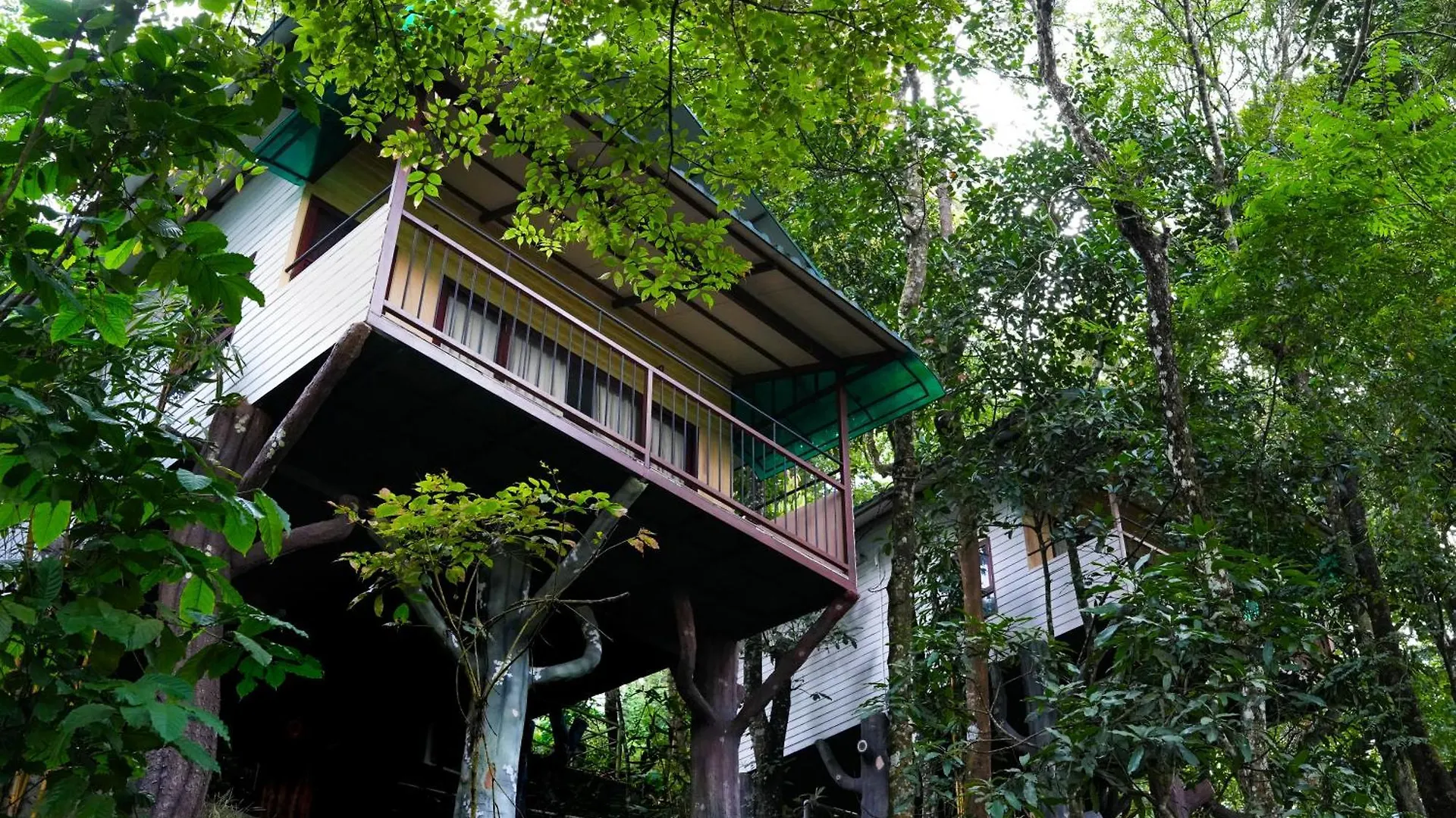 Space Rock Resort Kalpatta