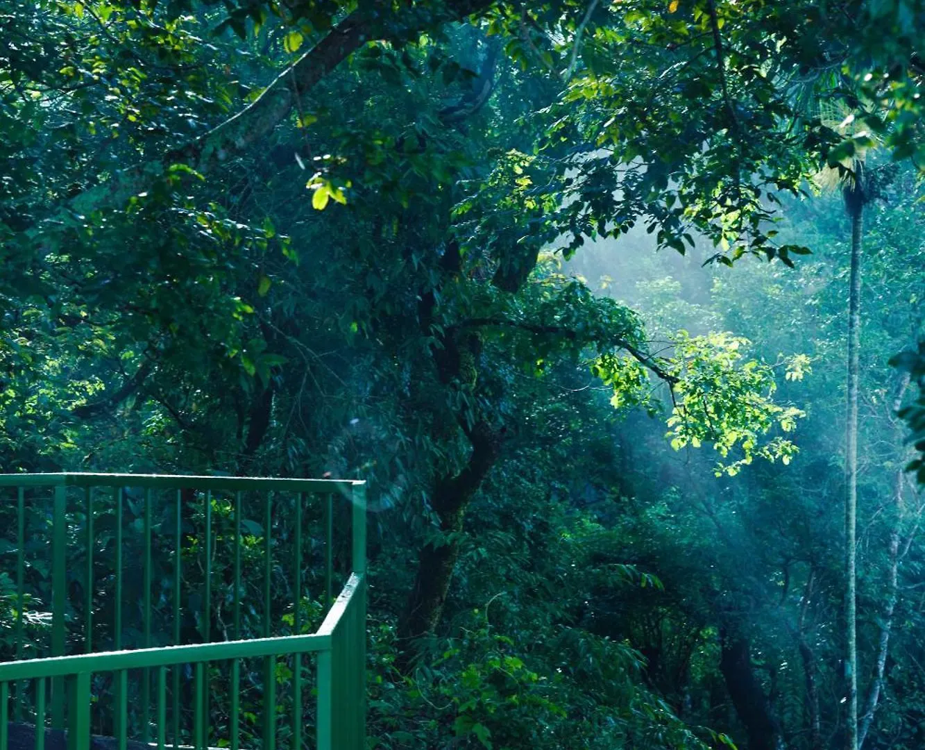 Space Rock Resort Kalpetta