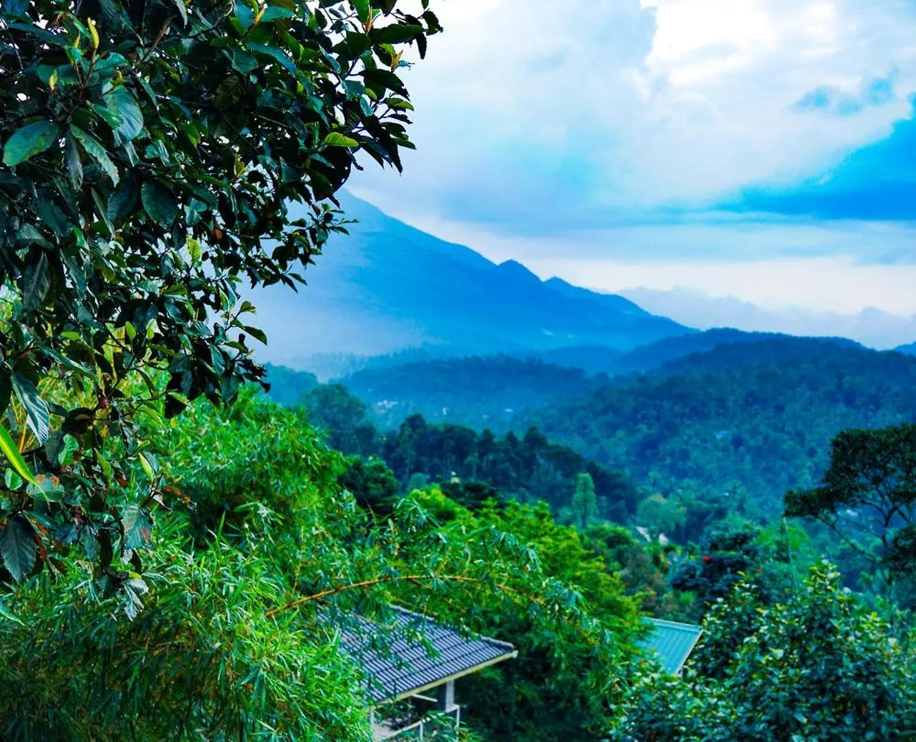 Space Rock Resort Kalpetta