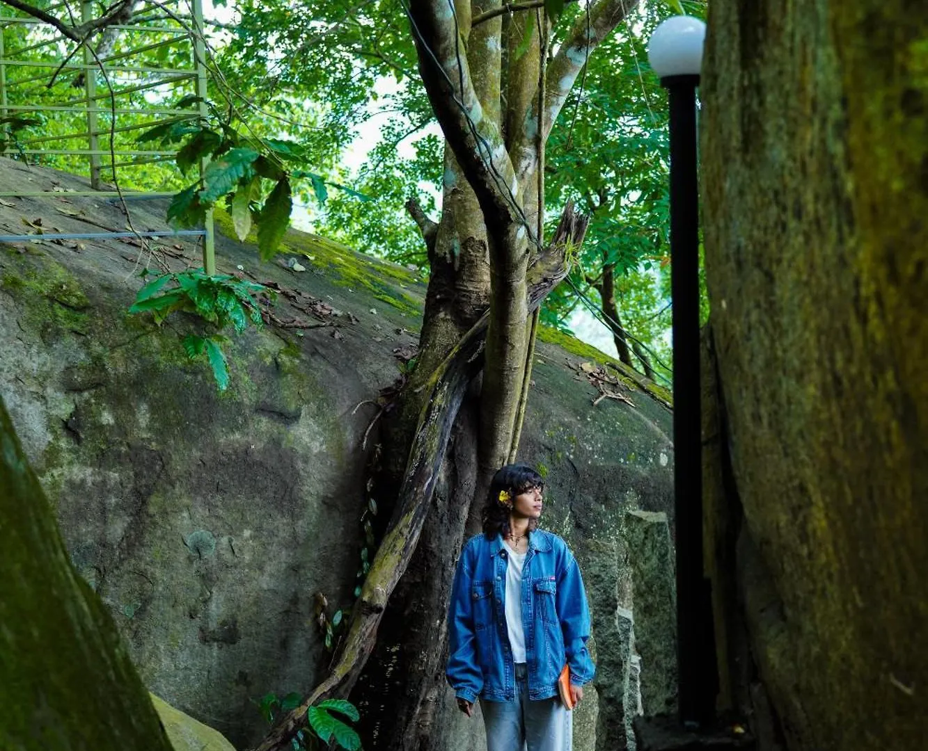 Space Rock Resort Kalpetta 0*,  India